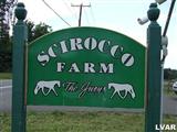 Scirocco Farm - Cindy Stys Testimonial 2